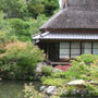 pavillon et jardin japonais